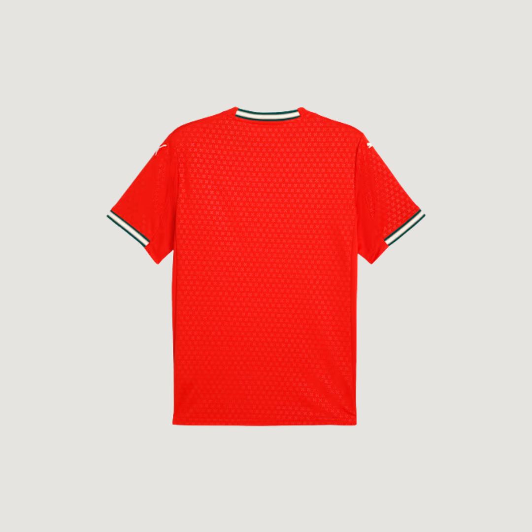 Portugal - Maillot Domicile 25/26 - Rouge - dos