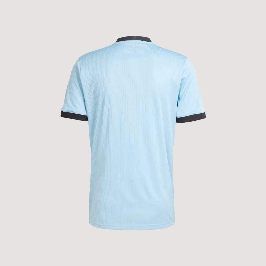Allemagne – Maillot Anniversaire 2025 – Bleu Clair & Noir - dos