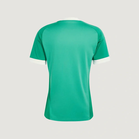 Juventus – Maillot Gardien Extérieur 2026/27 – Vert menthe, Crème - dos