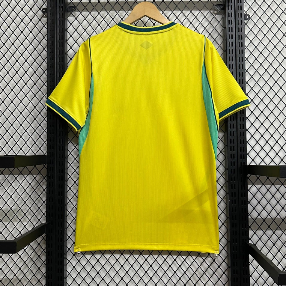 Maillot 2026 Brésil Domicile DERBYX