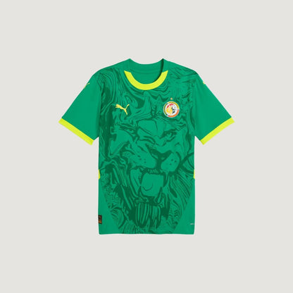 Sénégal - Maillot Extérieur 24/25 - Vert, Jaune - avant