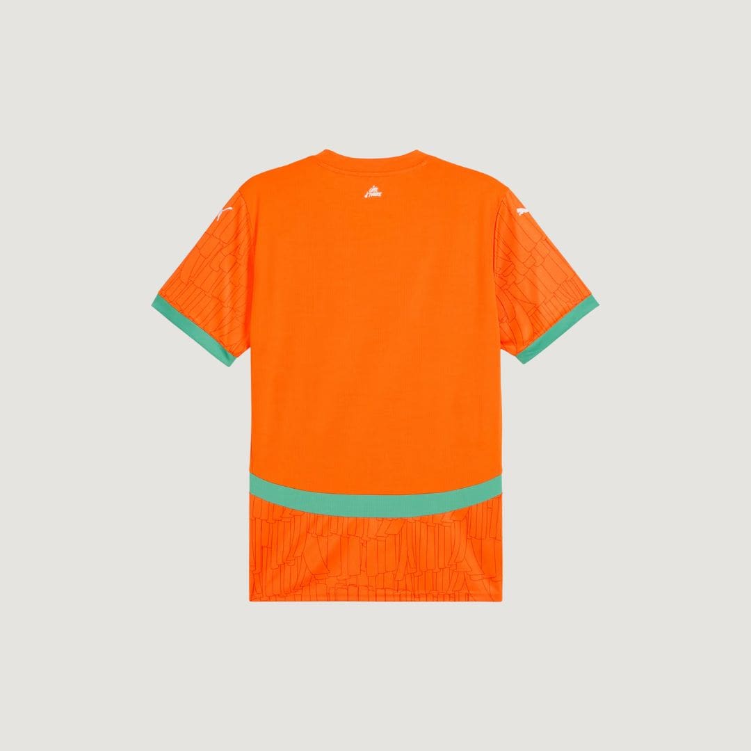 Côte d’Ivoire - Maillot Domicile 24/25 - Orange, Vert - dos