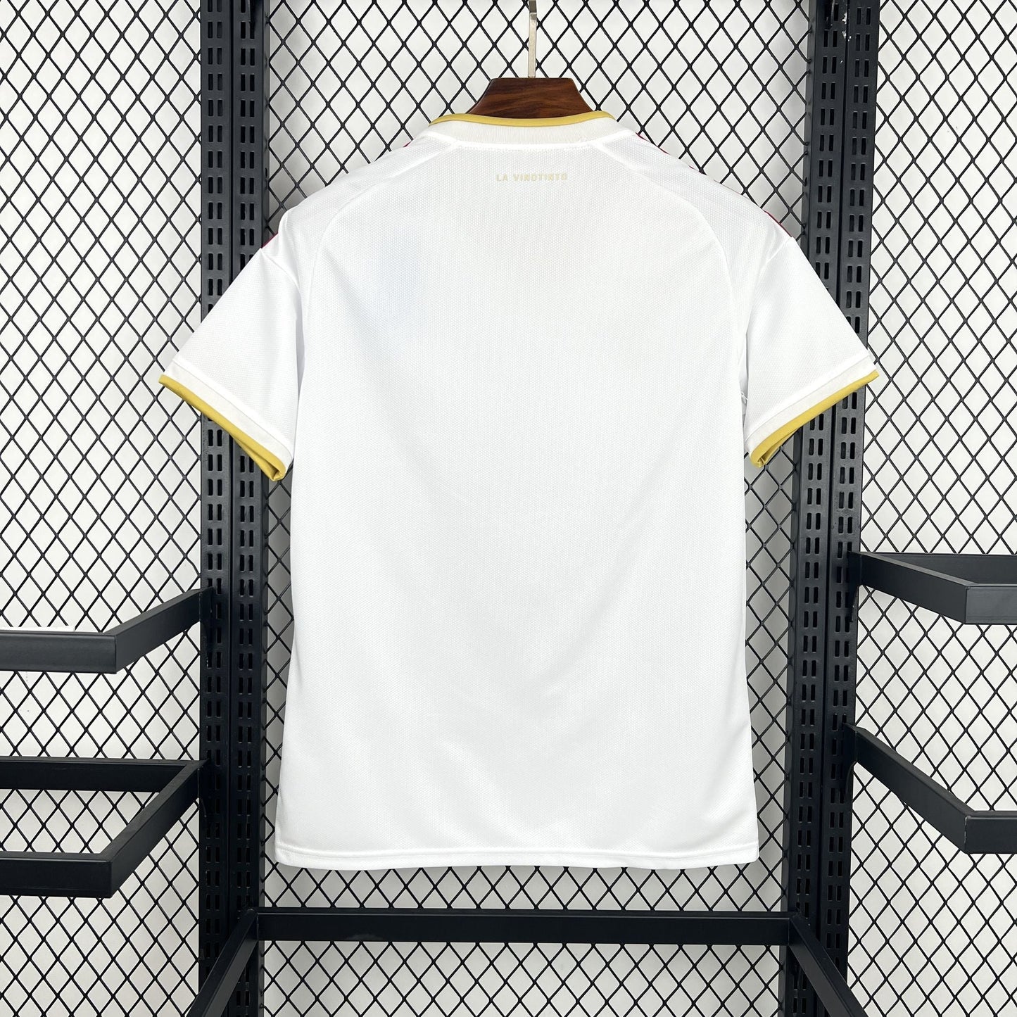 Maillot Venezuela Coupe du monde 2026 DERBYX