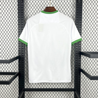 Maillot Irlande Concept 2026 DERBYX