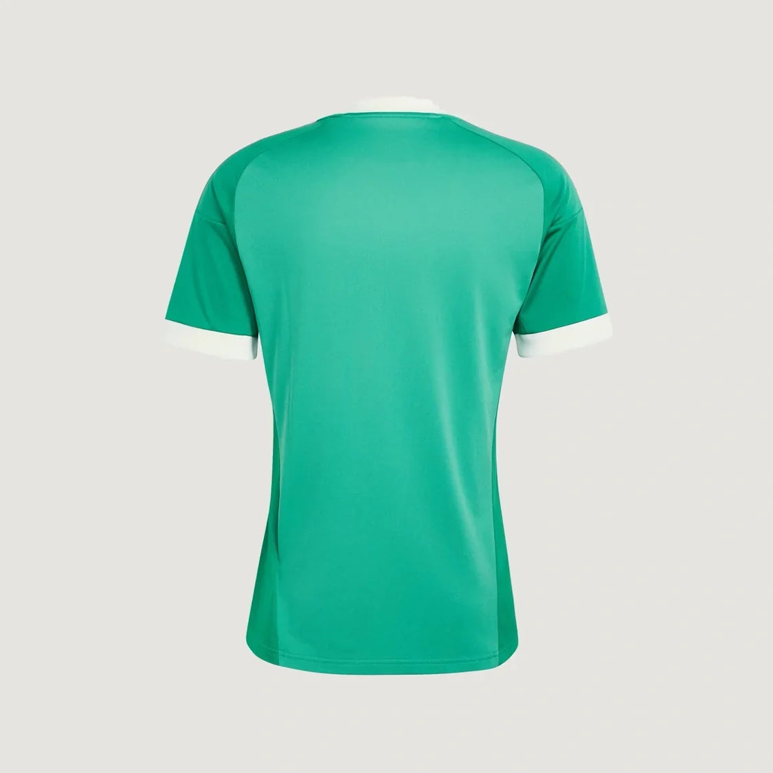 Juventus – Maillot Gardien Extérieur 2026/27 – Vert menthe, Crème - dos